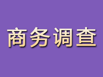 裕安商务调查